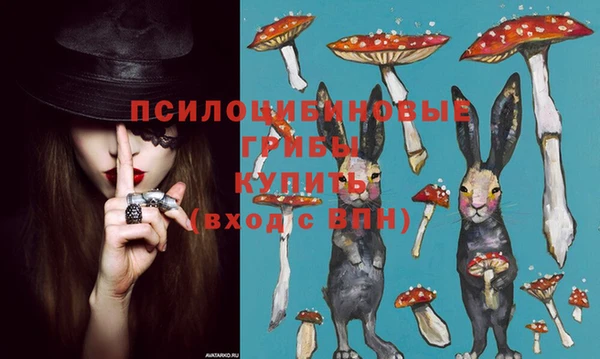 Альфа ПВП Богданович